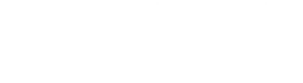 NARCIXO EXPRESS LOGO